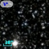 V* V907 Cyg