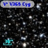V* V368 Cyg