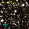 V* EL Cyg