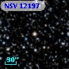 NSV 12197