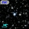 TYC 2137-1689-1