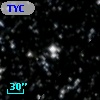 TYC 2137-213-1