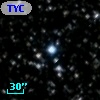 TYC 2137-2224-1