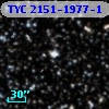 TYC 2151-1977-1