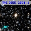 TYC 2655-2021-1