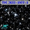 TYC 2655-1977-1
