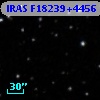 IRAS F18239+4456