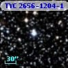 TYC 2656-1204-1