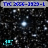 TYC 2656-3929-1