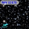 NSV 12125