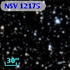 NSV 12175