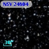 NSV 24804
