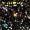 V* V1989 Cyg