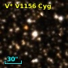 V* V1156 Cyg