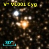 V* V1001 Cyg