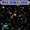 IRAS 19463+2837