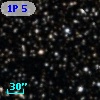 1P  5