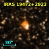 V* V1995 Cyg