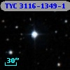 TYC 3116-1349-1