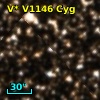 V* V1146 Cyg