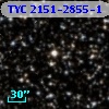 TYC 2151-2855-1