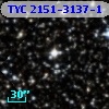 TYC 2151-3137-1