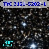 TYC 2151-5202-1