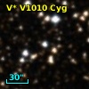 V* V1010 Cyg