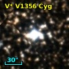 V* V1356 Cyg