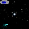 HD 333600