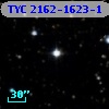 TYC 2162-1623-1
