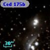 Ced 175b