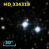 HD 334318