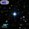 HD 339981