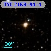 TYC 2163-91-1