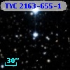 TYC 2163-655-1