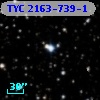 TYC 2163-739-1