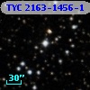 TYC 2163-1456-1