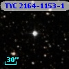 TYC 2164-1153-1