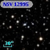 NSV 12995
