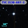 TYC 3530-607-1