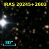 IRAS 20245+2603