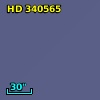 HD 340565