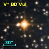 V* BD Vul
