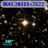 IRAS 20313+2522