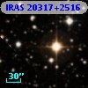 IRAS 20317+2516
