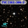 TYC 2161-300-1