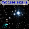 TYC 2164-1423-1