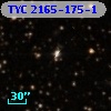 TYC 2165-175-1