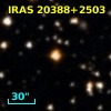 IRAS 20388+2503